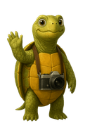 SnapTurtle™ waving logo